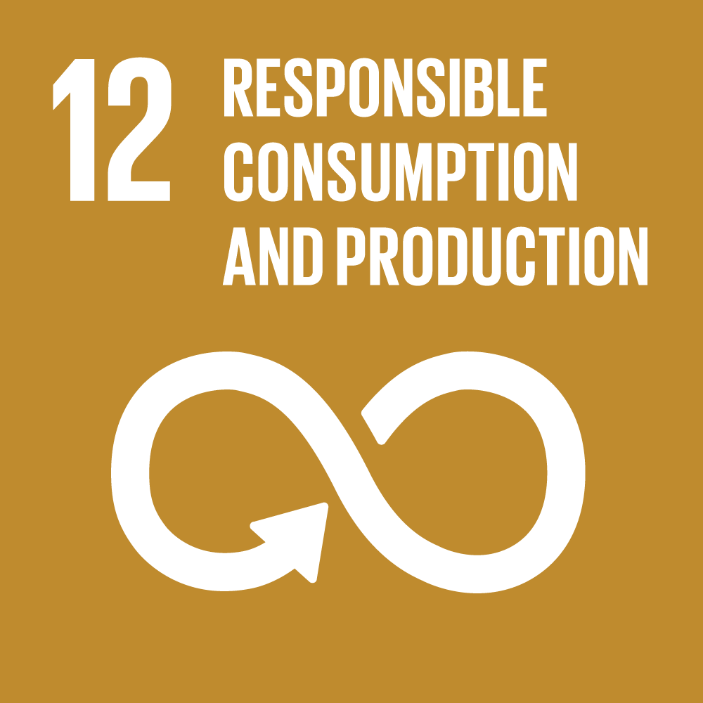 SDG 12: Responsible consumption & production